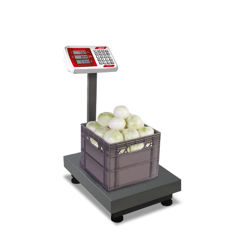 Báscula de Plataforma Plegable de 100 kg BAPLE-100