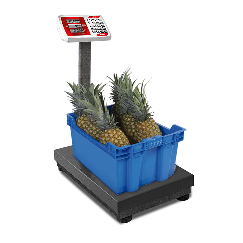 Báscula de Plataforma Plegable 400 kg Vinson BAPLE-400