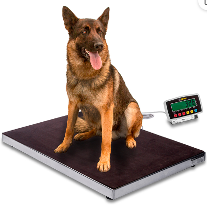 Plataforma Veterinaria 200 kg BAVET-200