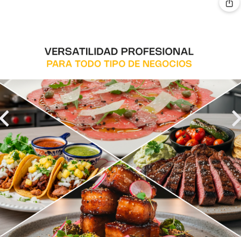 Rebanadora de Carne Semi Congelada 350 mm REBEN-350