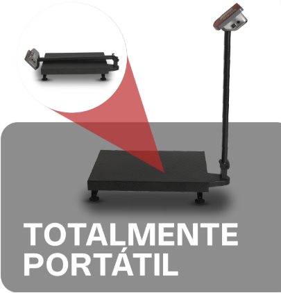 Báscula de Plataforma Plegable 200 kg BAPLE-200