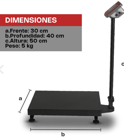 Báscula de Plataforma Plegable 200 kg BAPLE-200