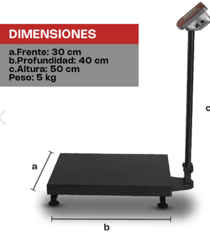 Báscula de Plataforma Plegable 200 kg BAPLE-200