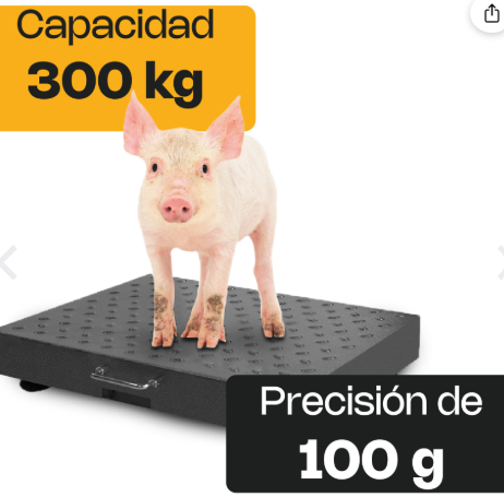 Báscula de Plataforma Inalámbrica 300 kg BAPIC-300