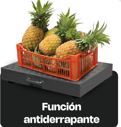 Báscula de Plataforma Inalámbrica 300 kg BAPIC-300