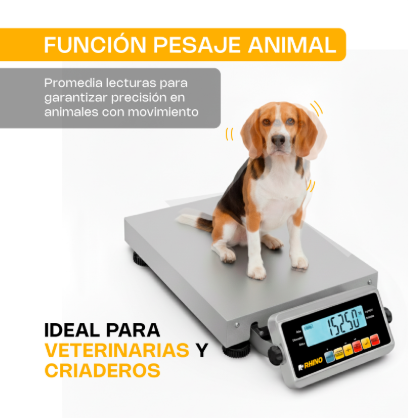 Báscula de Paquetería 150 kg BAPAQUE-150