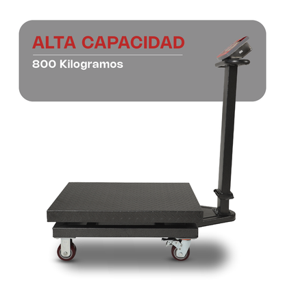 Báscula de Plataforma Plegable 800 kg Vinson BAPLE-800